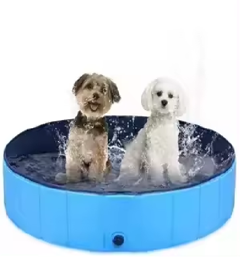 Dog Pool (80 x 20 inches)